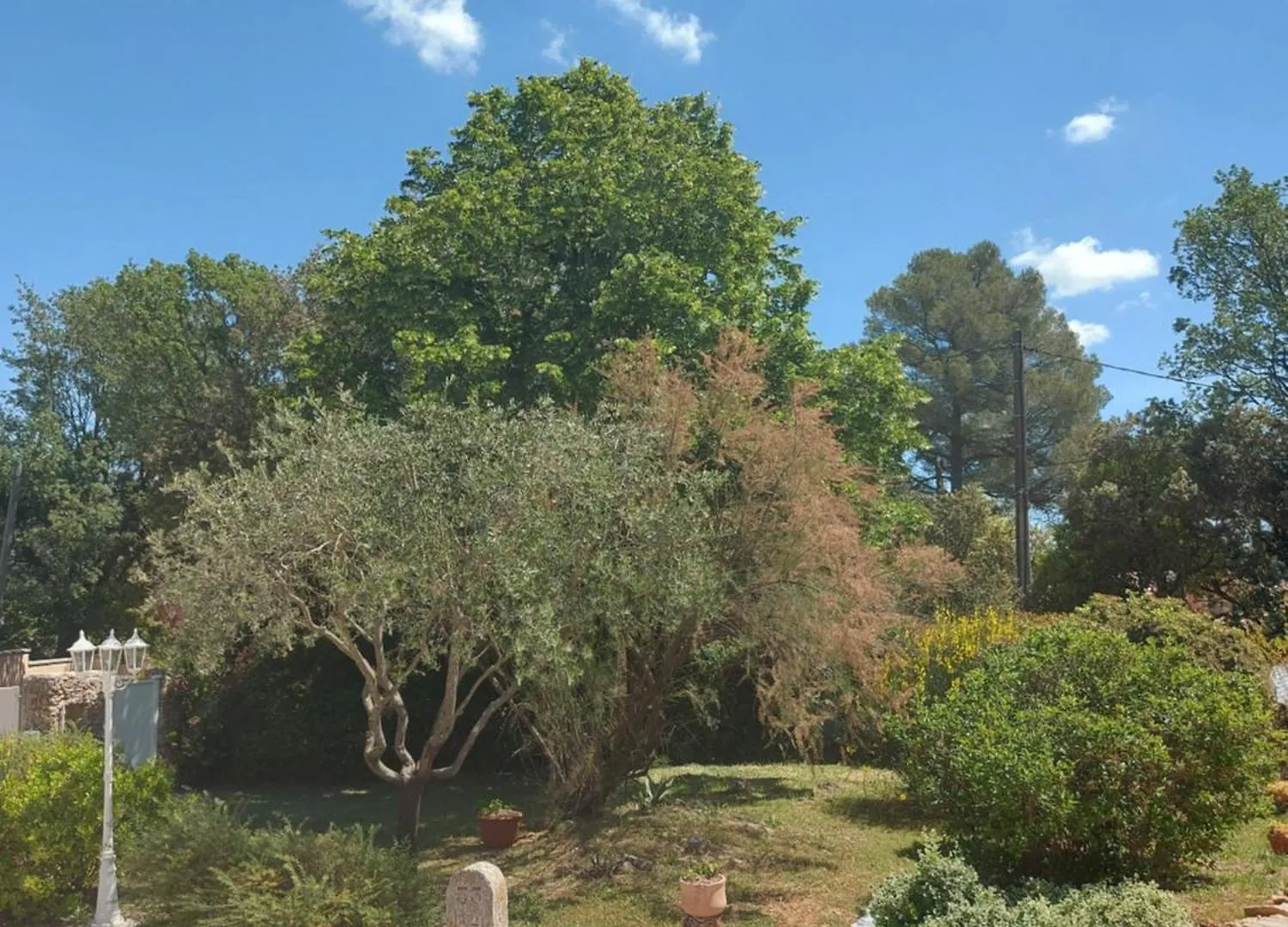 Casetta Provenzale Gareoult Holiday home